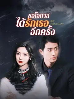 ขอโอกาสได้รักเธออีกครั้ง ซับไทย