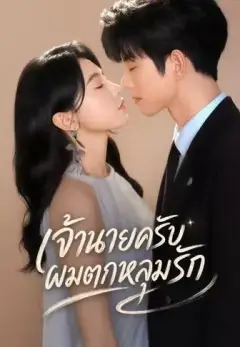 เจ้านายครับผมตกหลุมรัก พากย์ไทย