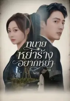 ทนายหย่าร้างอยากหย่า พากย์ไทย