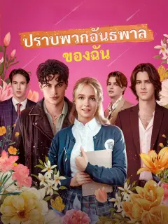 ปราบพวกอันธพาลของฉัน พากย์ไทย