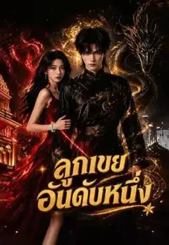 ลูกเขยอันดับหนึ่ง พากย์ไทย