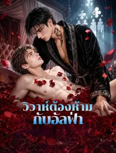 วิวาห์ต้องห้ามกับอัลฟ่า พากย์ไทย