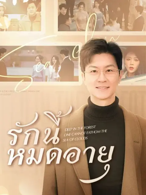 รักนี้หมดอายุ พากย์ไทย